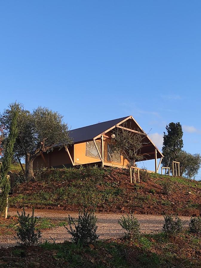 Luxury tent Glamping Grancia Grosseto